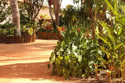 Um jardim no exterior de Casa do Jardim- Villa Botanica