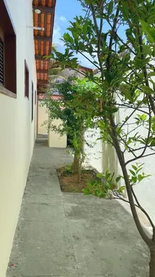 A planta de Casa reperida