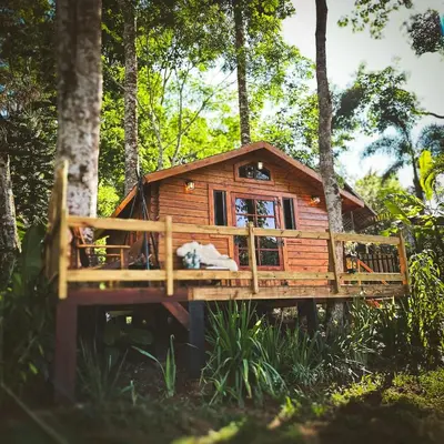 Um jardim no exterior de Cabana da arvore