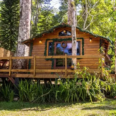 Cabana da arvore