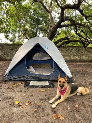 O animal ou animais de estimação com os hóspedes em Camping MotorHome Caiçara