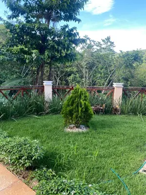 Um jardim no exterior de Chalé Bella Vista