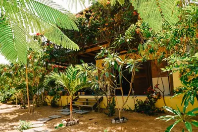 Um jardim no exterior de Casa Bem Te Vi