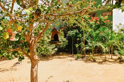 Um jardim no exterior de Casa Bem Te Vi