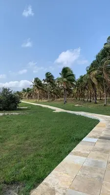 Um jardim no exterior de Bio-Resort Brasilien