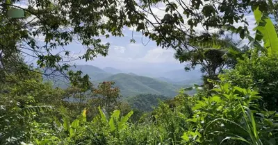 Paisagem natural perto da casa de férias