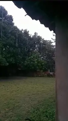 Um jardim no exterior de Casa de sítio