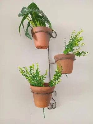 A planta de Aconchego e Localização