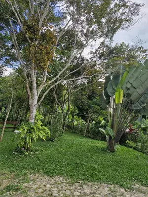 Um jardim no exterior de Recanto da Felicidade