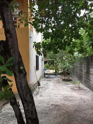 Um jardim no exterior de Casa com piscina Novo Iguape