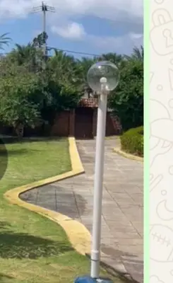 Um jardim no exterior de Casa Dummar