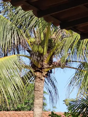 Paisagem natural perto da casa de férias