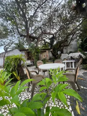 Um jardim no exterior de Paraíso jeri