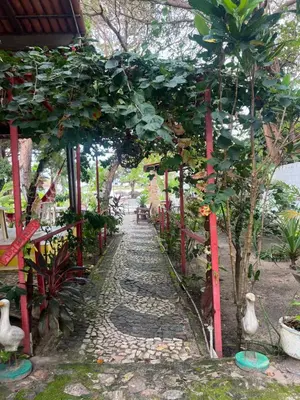 Um jardim no exterior de Paraíso jeri