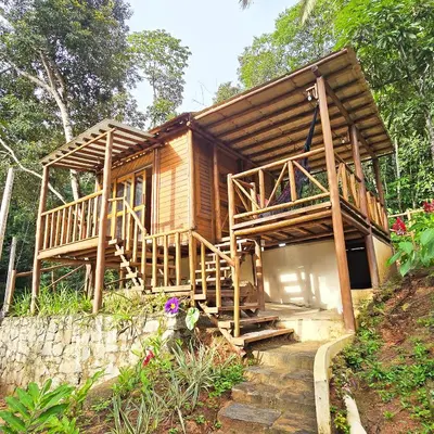 Um jardim no exterior de Bangalô Harmonia Natural