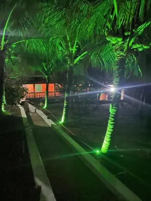 Um jardim no exterior de Coqueiros Lounge