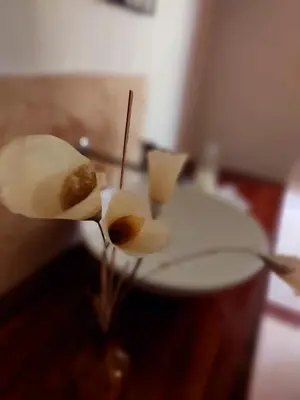 A planta de Manga Rosa Hospedagem