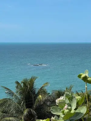 Paisagem natural perto da casa de férias