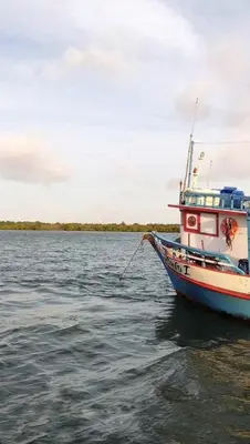 Paisagem natural perto da casa de férias
