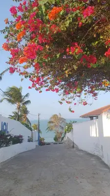 Paisagem natural perto da casa de férias