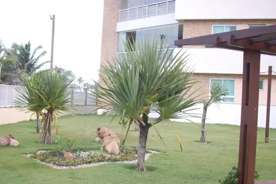 Um jardim no exterior de Apartamento Pé na Areia Porto das Dunas - Paraiso das Dunas