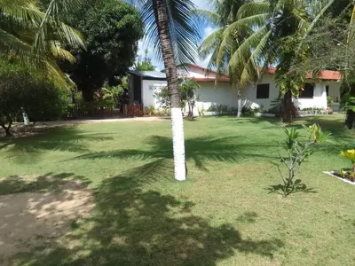 Um jardim no exterior de Casa