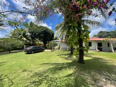 Um jardim no exterior de Casa