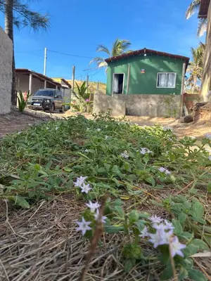 Um jardim no exterior de Vieira Mar jorlandia