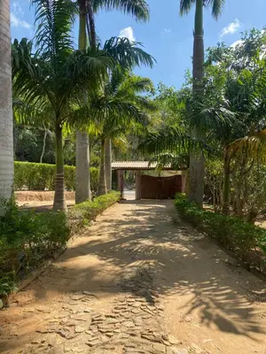 Um jardim no exterior de Sítio exclusivo em meio à Natureza - Guaramiranga
