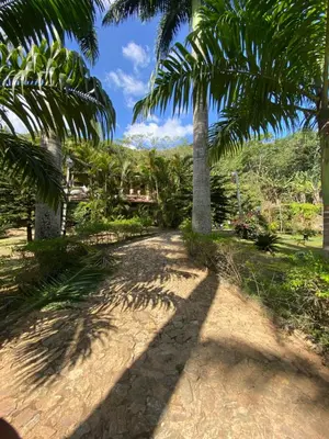 Um jardim no exterior de Sítio exclusivo em meio à Natureza - Guaramiranga