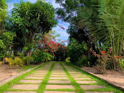 Um jardim no exterior de Sítio Jean Barros