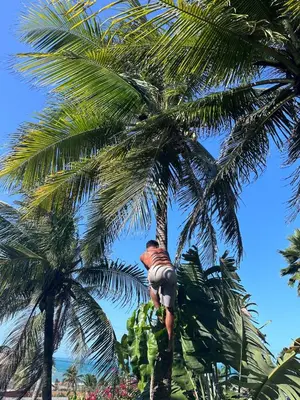 Os clientes hospedados em Beautiful house with sea views!