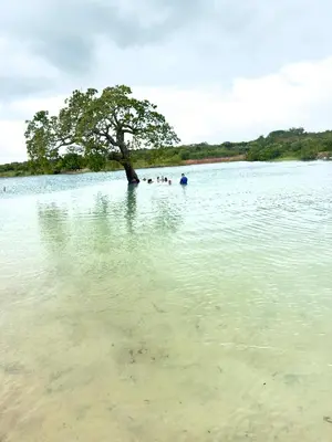 Paisagem natural perto do apartamento