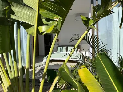 Um jardim no exterior de Le rêve des kitesurfeurs