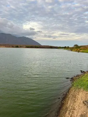 Paisagem natural perto da casa de férias