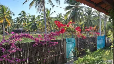 A planta de Casa Rosa
