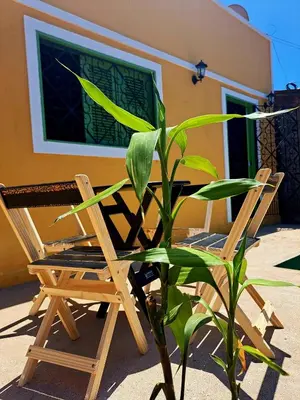 A planta de Casa Cores da Redonda!