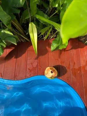 A piscina em ou perto de Chalé Koa Flora - PRAIA DE MOITAS
