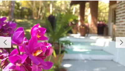 A planta de Chalé Guaíras