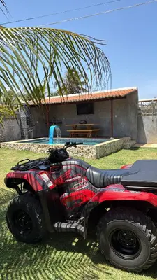 A planta de Bangalô raizes