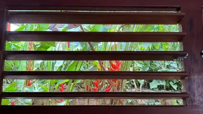 Um jardim no exterior de Maison in Mulungu