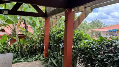 Um jardim no exterior de Maison in Mulungu