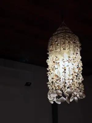 A planta de Casa velha