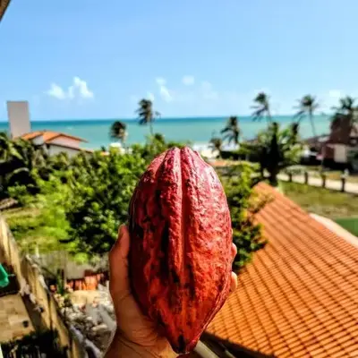 Cumbuco Residence - O Rei Do Cumbuco