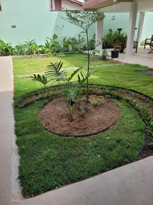 Um jardim no exterior de Pousada Janela dos Ventos
