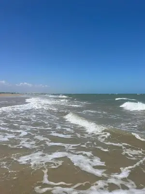Paisagem natural perto da casa de férias