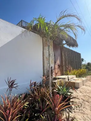 Um jardim no exterior de Casa Costa