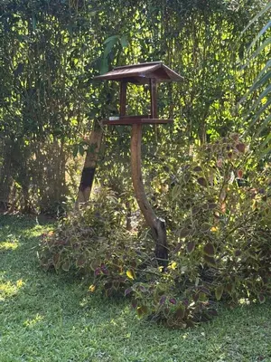 Um jardim no exterior de Acorde com o canto dos passaros