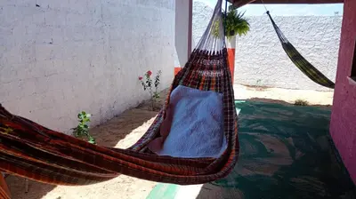 A planta de Hostel Mamitchesca - Redes e Barracas