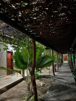 Um jardim no exterior de Pousada Imperio dos Bambus